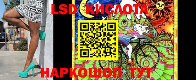 амф Гусев
