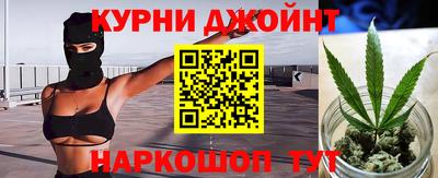 амф Гусев