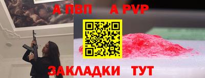 амф Гусев