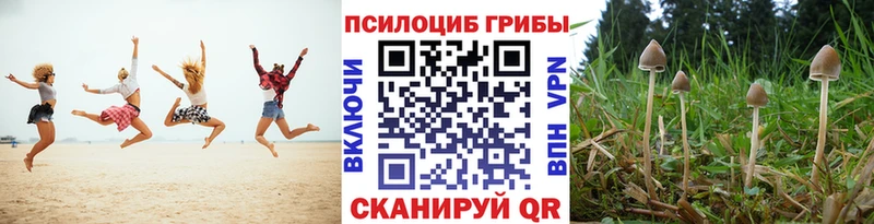 Галлюциногенные грибы мухоморы  Октябрьский 